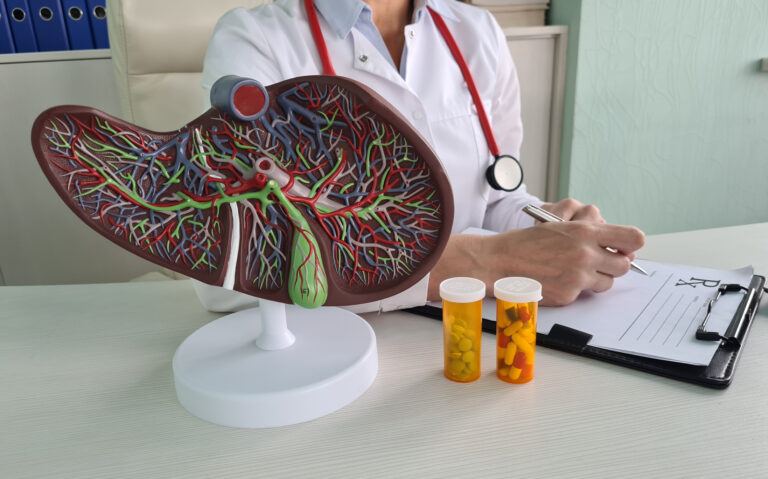 A healthcare professional in a white coat sits at a desk with a detailed liver model